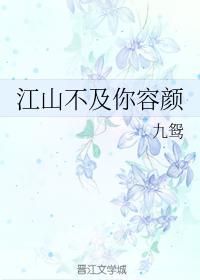 江山不及你容颜封面