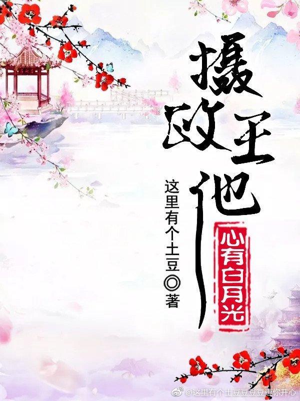 摄政王他心有白月光封面