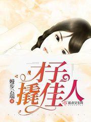 才子撬佳人封面