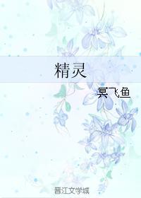 精灵封面