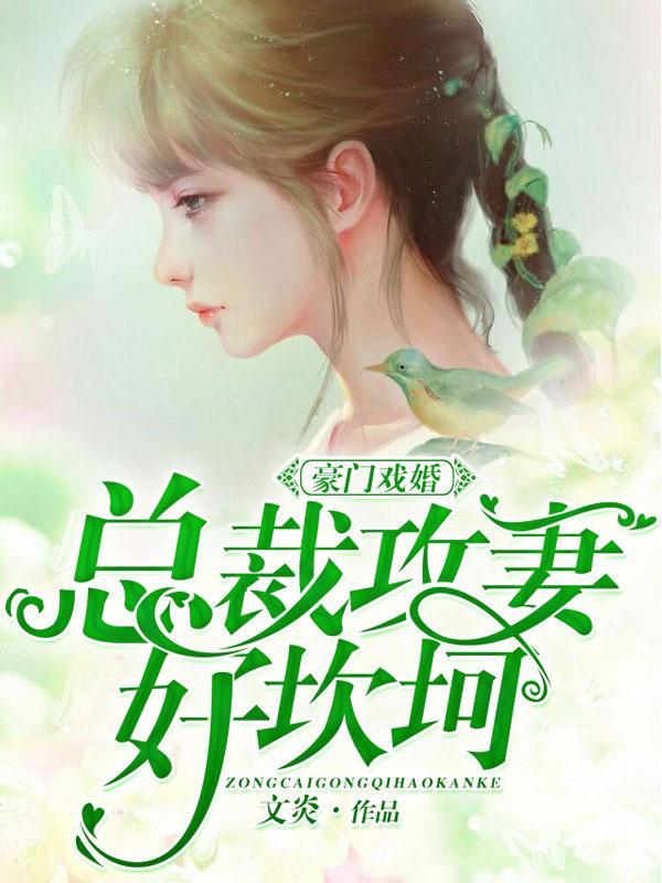 豪门戏婚：总裁攻妻好坎坷封面