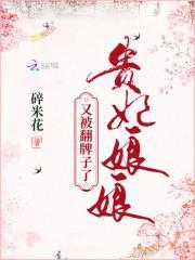 贵妃娘娘又被翻牌子了封面