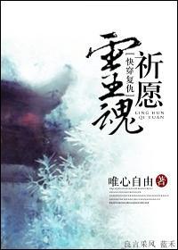 灵魂祈愿封面