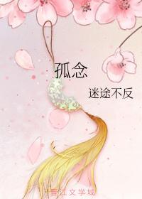 孤念封面