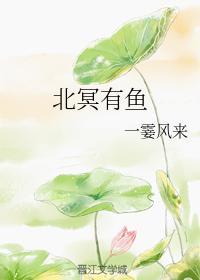 北冥有鱼封面