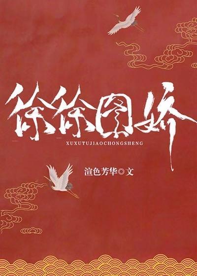 徐徐图娇封面