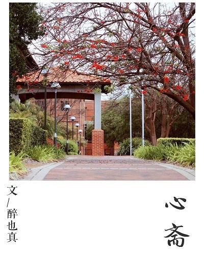 心斋封面