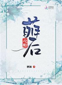 萌后攻略封面