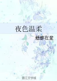 夜色温柔封面