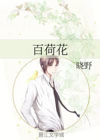 百荷花封面