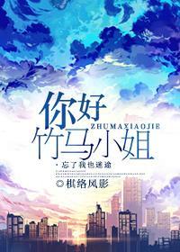 你好，竹马小姐封面