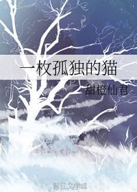 一枚孤独的猫封面