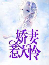 娇妻惹人怜封面