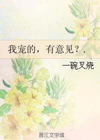 我宠的，有意见？封面