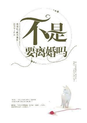 不是要离婚吗封面