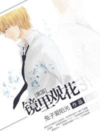 [黑篮]镜裏观花封面