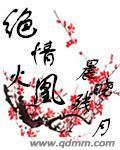 绝情火凰封面