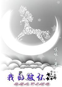 我的破坏星封面