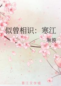 似曾相识：寒江封面