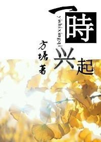 一时兴起封面