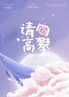 请勿高攀封面