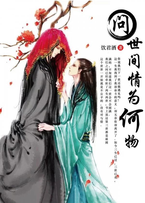 问世间情为何物封面
