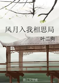 风月入我相思局封面