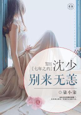 七年之约：沈少别来无恙封面