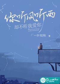 你听风听雨，却不听我爱你封面