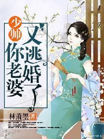 少帅：你老婆又要逃婚了封面