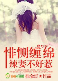 悱恻豪门，辣妻不好惹封面