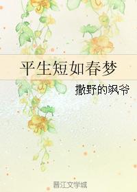 平生短如春梦封面