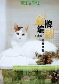 金牌编剧（未来）封面