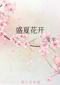 盛夏花开封面
