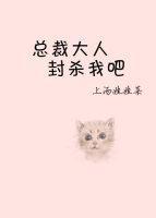 总裁大人封杀我吧封面