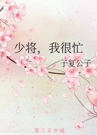 少将，我很忙封面
