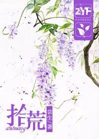 拾荒封面
