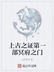冰山总裁宠上瘾封面