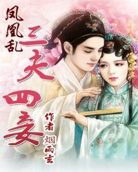 凤凰乱：三夫四妾封面