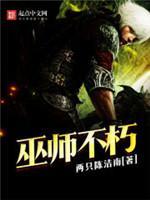 巫师不朽封面