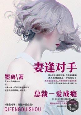 妻逢对手：总裁一爱成瘾封面