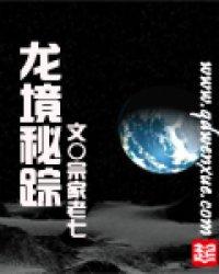 龙境秘踪封面