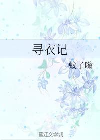 寻衣记封面