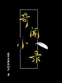 奇闻小录封面
