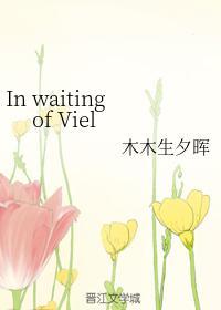 In waiting of Viel封面