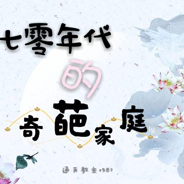 七零年代的奇葩家庭封面