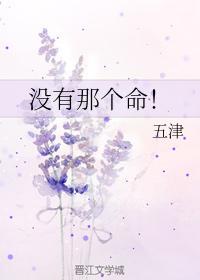 没有那个命！封面