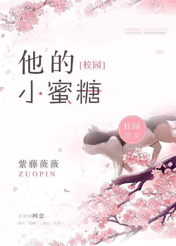 他的小蜜糖封面