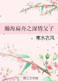 瀚海扁舟之深情父子封面