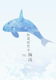 如果时光不搁浅封面